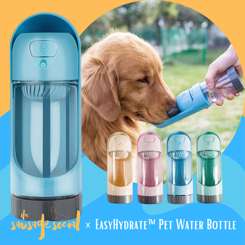 The Sausage Social x EasyHydrate™ Pet Water Bottle
